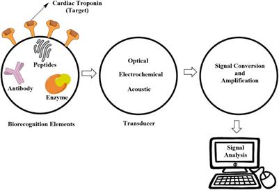 Significance of Cardiac Troponins as an Identification Tool in COVID-19 Patients Using Biosensors: An Update